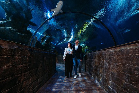 Tour image 4